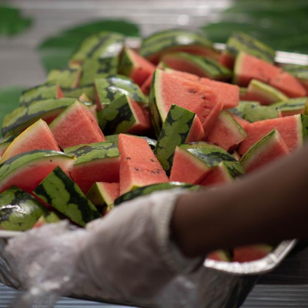 Close up shot of catering staff holding tray of colourful watermelon 